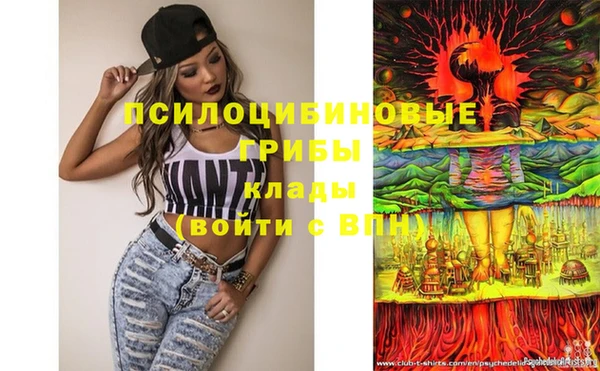 дживик Зеленодольск