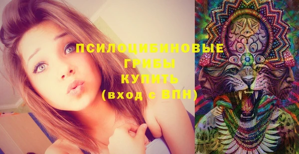 дживик Зеленодольск
