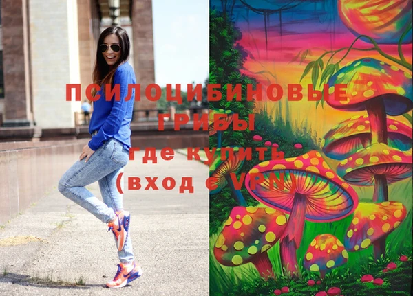 молекула духа Заволжье