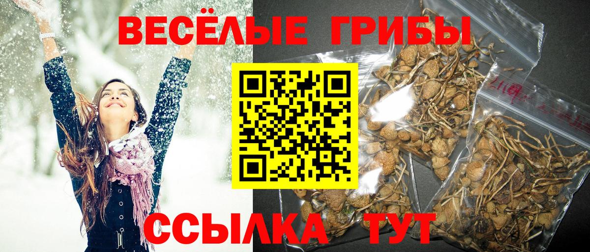 Пермь  Псилоцибиновые грибы MAGIC MUSHROOMS  Вход с VPN 